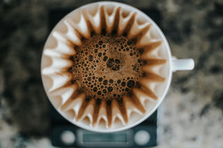 The Science of the Perfect Coffee Bloom